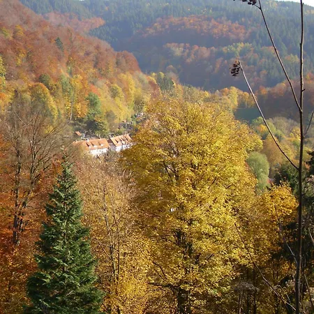 ホテル Naturkost-hotel Harz 3*