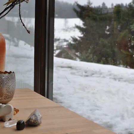 Naturkost-hotel Harz Hotel 3*