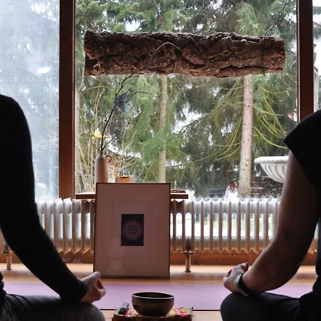 Naturkost-hotel Harz ホテル 3*