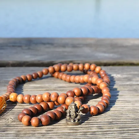 ホテル Naturkost-hotel Harz