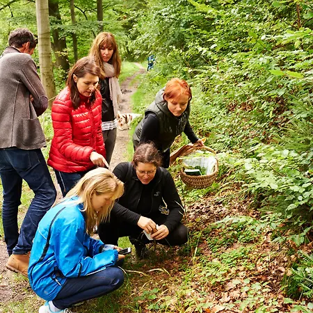 Naturkost-hotel Harz ホテル