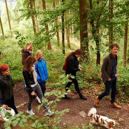 Naturkost-hotel Harz Bad Grund