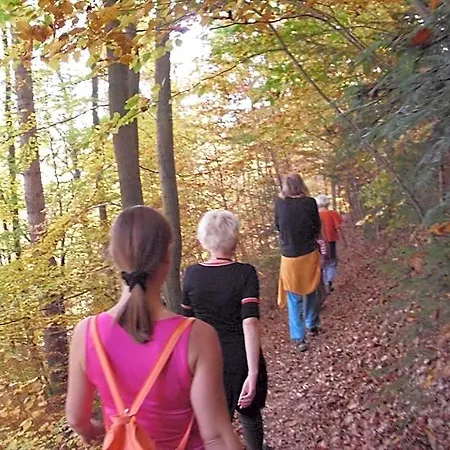 Naturkost-hotel Harz 3* Bad Grund