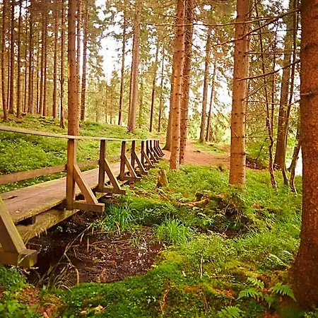 Naturkost-hotel Harz Hotel 3*