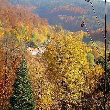 Hotel Naturkost-hotel Harz Bad Grund