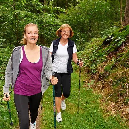 Naturkost-hotel Harz 3* Bad Grund