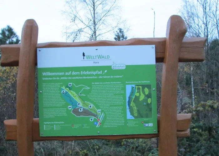 Otel Naturkost-hotel Harz 3*