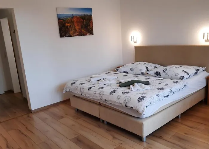 Naturkost-hotel Harz באד גרונד