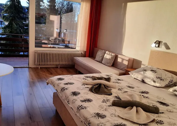 Naturkost-hotel Harz Otel 3*