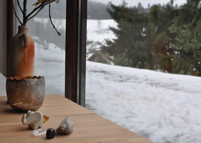 Naturkost-hotel Harz Otel 3*