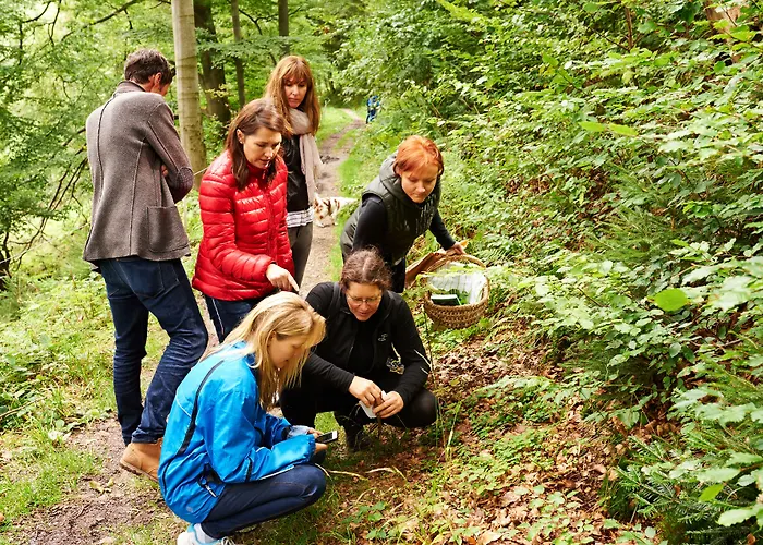 Naturkost-hotel Harz Otel