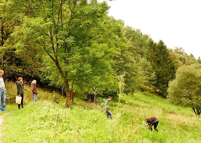 Naturkost-hotel Harz Bad Grund