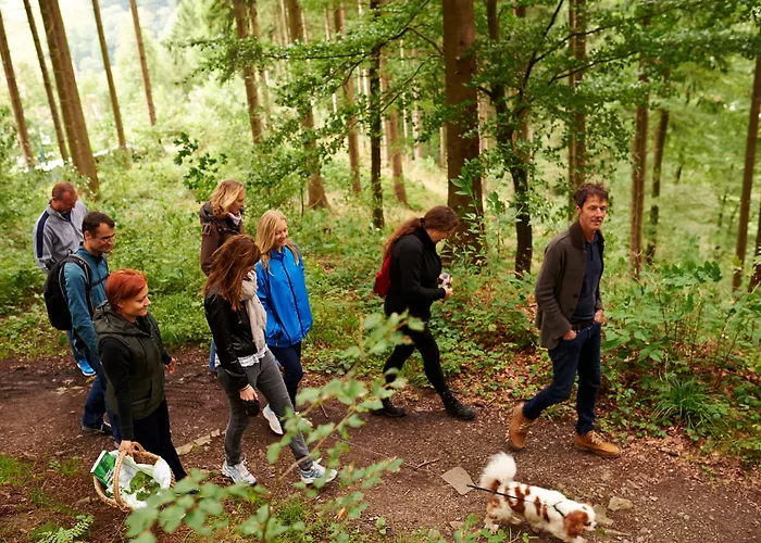 Naturkost-hotel Harz Bad Grund